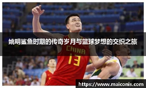 姚明鲨鱼时期的传奇岁月与篮球梦想的交织之旅