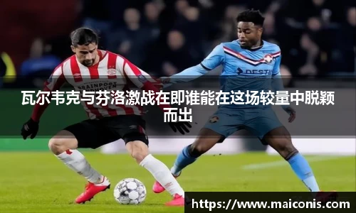 瓦尔韦克与芬洛激战在即谁能在这场较量中脱颖而出