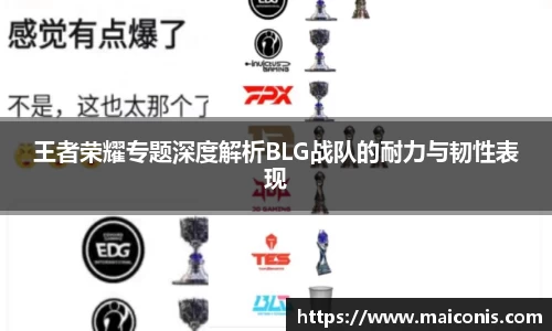 王者荣耀专题深度解析BLG战队的耐力与韧性表现