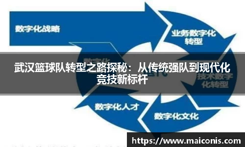 武汉篮球队转型之路探秘：从传统强队到现代化竞技新标杆